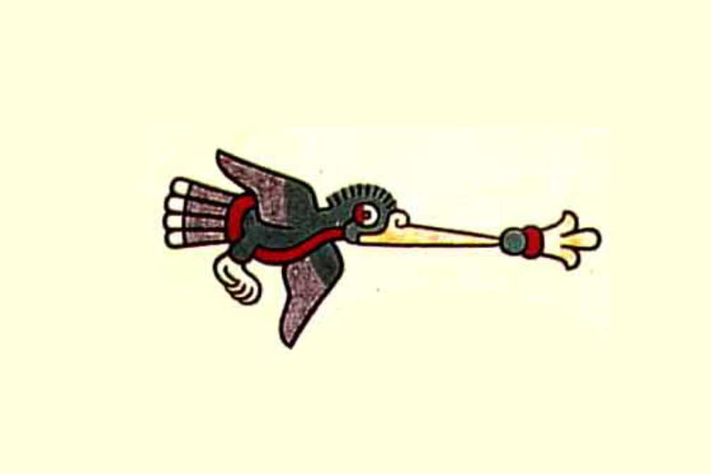 huitzitzilin