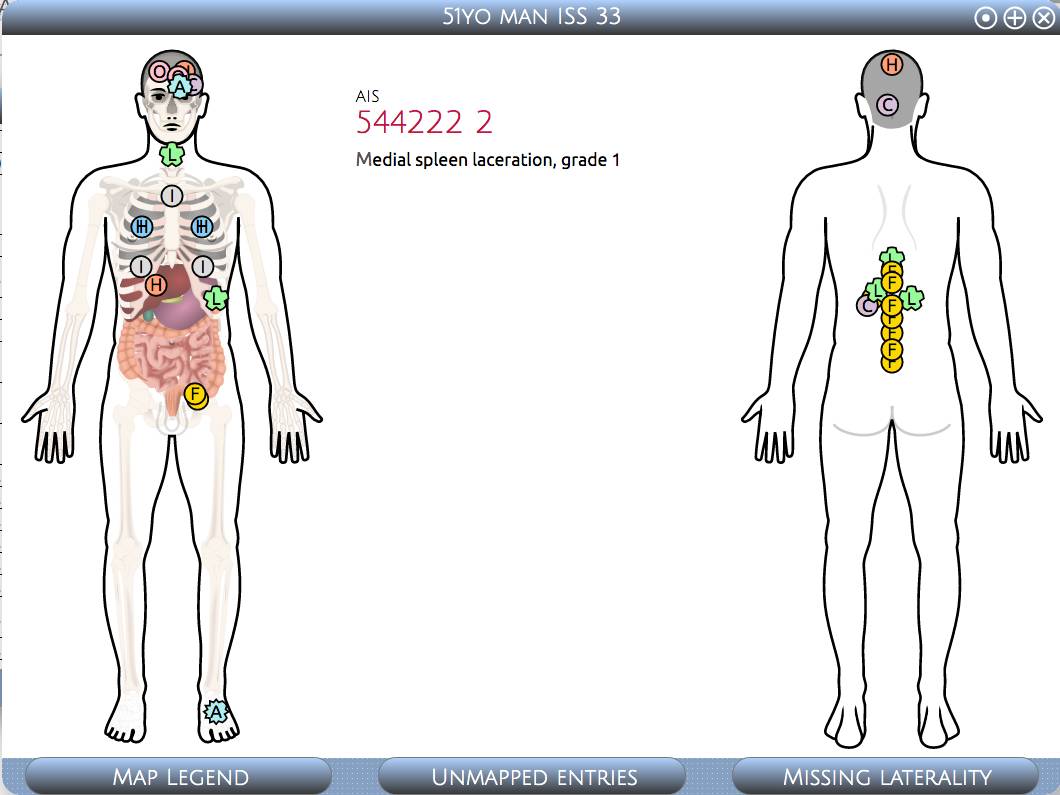 An injury map in the Vanessa application.
